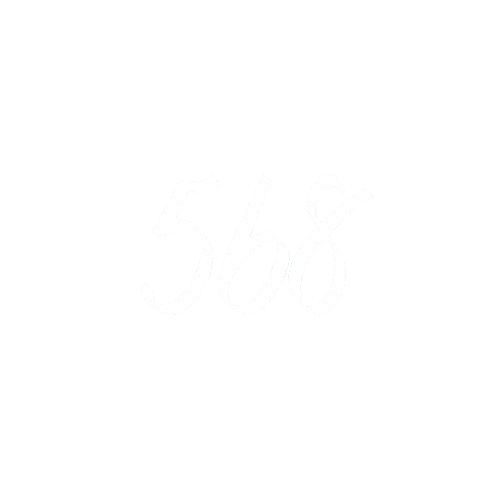 Project 568